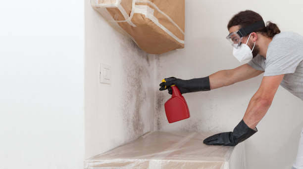 Professional Mold Inspection And Testing technician working in Burlington, MA
