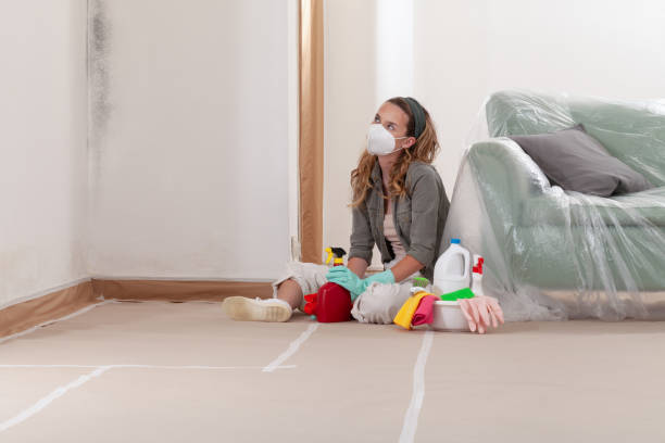 Reliable Mold Inspection And Testing contractor in Burlington, MA by Car Mold Remediation